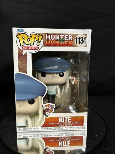 1134 Kite