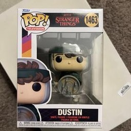 1463 Dustin