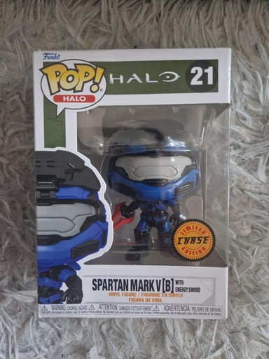 21 Spartan Chase