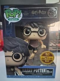 251 Harry Potter