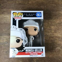 263 Monica Geller