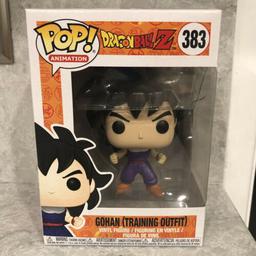 383 Gohan (Training Outfit)