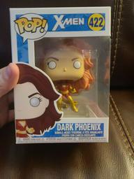 422 Dark Phoenix (Common)