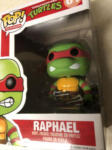 61 Raphael (Common)
