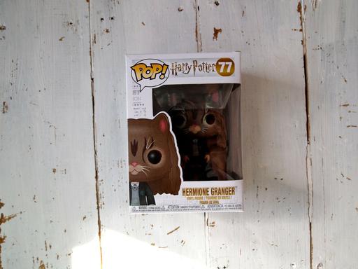 77 Hermione Granger as Cat