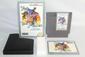 Fox's Peter Pan & The Pirates: The Revenge of Captain Hook (Nintendo Entertainment System)